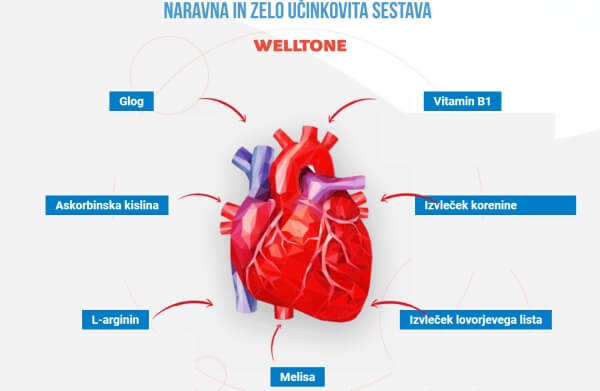 Sestava in sestavine 