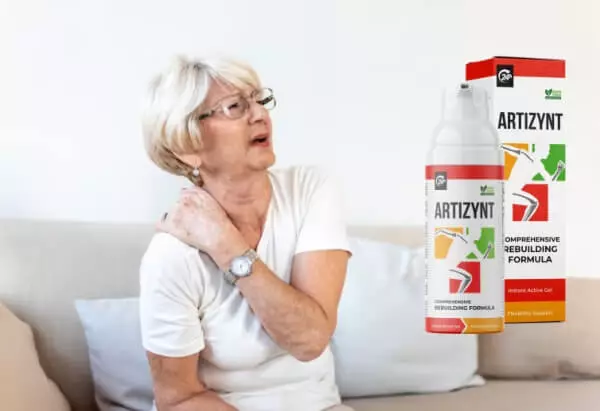 ArtiZynt: Kaj je to?