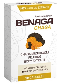 Benaga chaga tablete Sloveniji