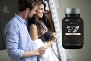 Primal Orgin Forum, Cena, Uporaba, Stranski učinki 2025