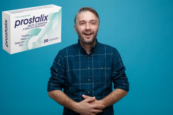 Sestava in sestavine