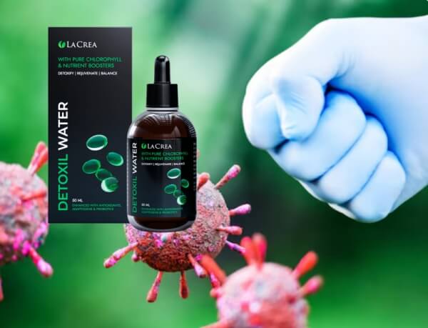 Sestava in sestavine