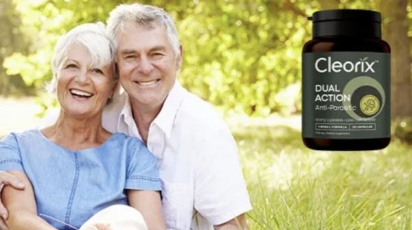 Sestava in sestavine