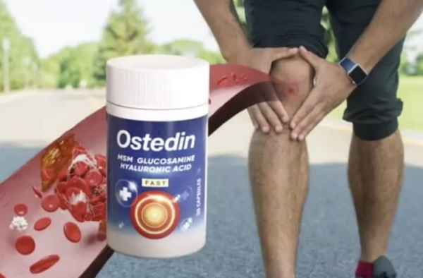 Ostedin Cena v Sloveniji – kje kupiti